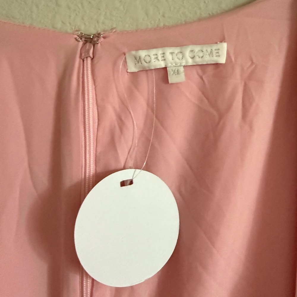 More To Come Kiara Mini Dress in Pink size XL NWT - Picture 4 of 5